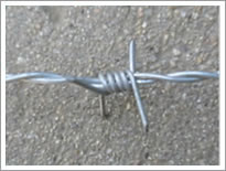 Barbed Wire