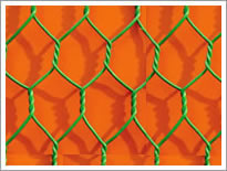 Hexagonal Wire Netting